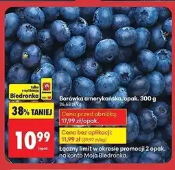 Biedronka Borówka amerykańska Biedronka oferta