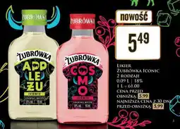 Dino ŻUBRÓWKA ICONIC oferta