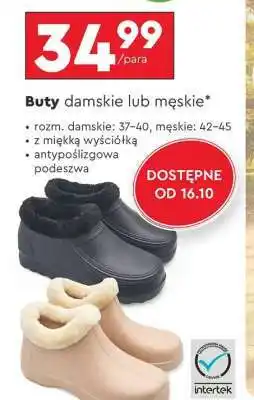 Biedronka Buty damskie lub męskie oferta
