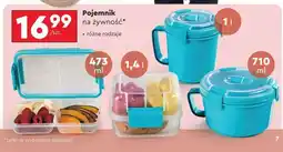 Biedronka Pojemnik na żywność oferta