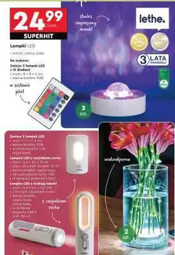 Biedronka Lampki LED oferta
