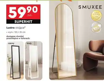 Biedronka Lustro stojące oferta