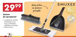 Biedronka Zestaw do sprzątania oferta