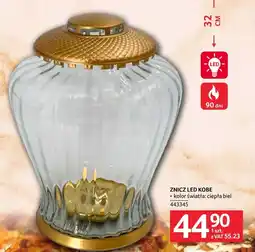 Selgros Znicz led oferta