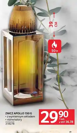 Selgros Znicz Apollo oferta