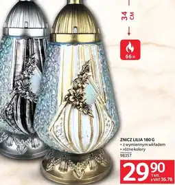 Selgros Znicz oferta