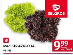 Selgros Sałata mix Selgros oferta
