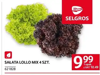Selgros Sałata mix Selgros oferta