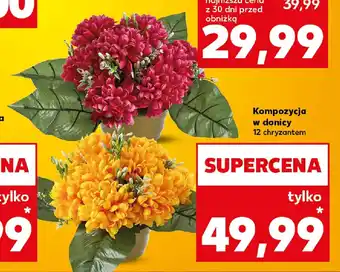 Kaufland Kompozycja w donicy oferta