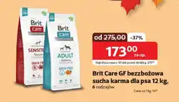 Kakadu Brit Care GF bezzbożowa sucha karma dla psa oferta