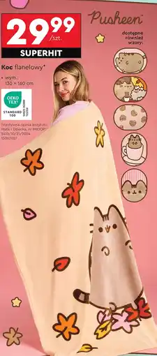Biedronka Koc TEX oferta