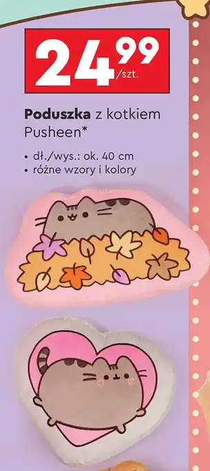 Biedronka Poduszka AA oferta