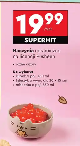 Biedronka Ceramika kuchenna Pusheen oferta