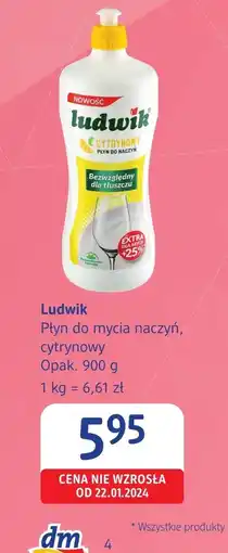 dm drogerie markt Płyn do naczyń Ludwik oferta