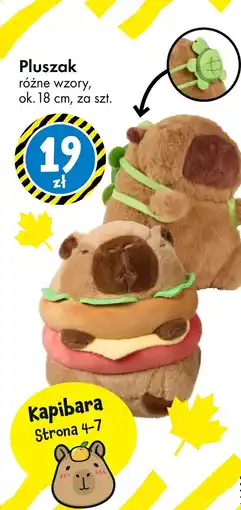 Tedi Pluszak Ok oferta