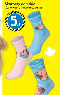 Tedi Skarpety damskie oferta