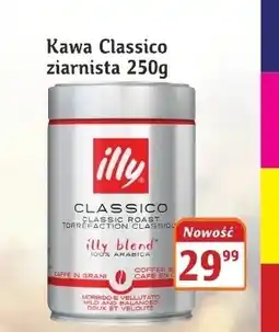 Hale Banacha Kawa ziarnista Illy oferta