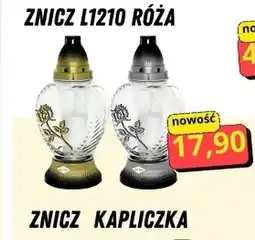 Hale Banacha Znicz oferta