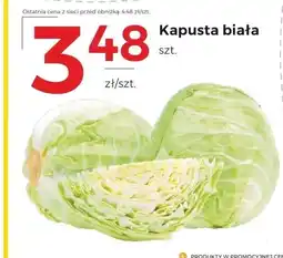 Frac Kapusta biała oferta
