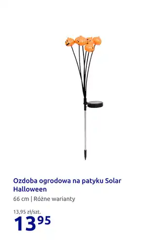Action Ozdoba ogrodowa na patyku Solar Halloween oferta