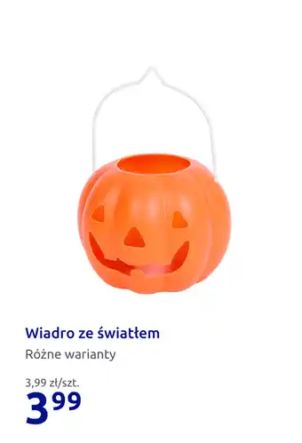 Action Wiadro ze światłem oferta