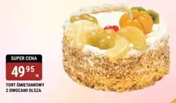 bi1 Tort OLSZA oferta