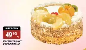 bi1 Tort OLSZA oferta