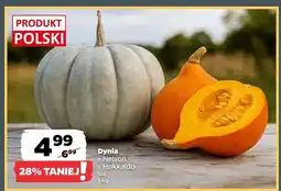 Netto Dynia Nelson Hokkaido oferta