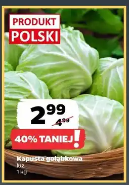 Netto Kapusta głąbkowa Netto oferta