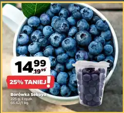 Netto Borówka Sekoya oferta