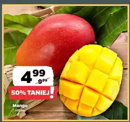 Netto Mango Netto oferta