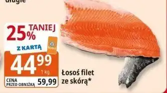 E.Leclerc Łosoś filet ze skórą Leclerc oferta