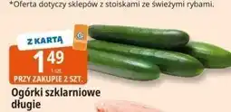 E.Leclerc Ogórki szklarniowe długie Leclerc oferta