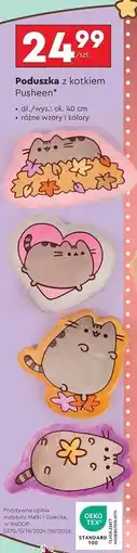 Biedronka Poduszka 40 cm pusheen oferta
