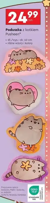 Biedronka Poduszka 40 cm pusheen oferta