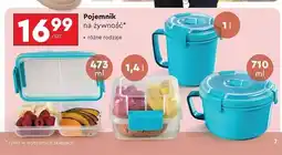 Biedronka Pojemnik na żywność 473 ml oferta