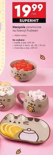 Biedronka Miseczka 530 ml Pusheen oferta