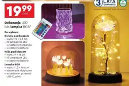 Biedronka Lampka rgb Lethe oferta