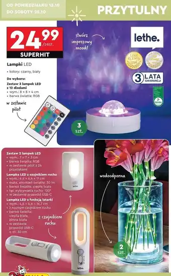 Biedronka Lampka led z funkcją latarki Lethe oferta