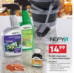 Biedronka Lakier dekoracyjny srebrny Nefy oferta