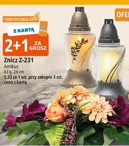 E.Leclerc Znicz z-231 Amikus oferta