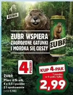 Kaufland Piwo Żubr 1768 oferta
