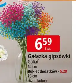 E.Leclerc Bukiet 3 goździków Goliat oferta