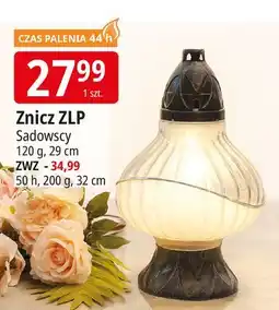 E.Leclerc Znicz zwz 31 cm Sadowscy Since 1994 oferta