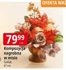 E.Leclerc Kompozycja nagrobna Goliat oferta
