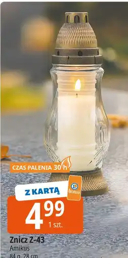 E.Leclerc Znicz z-43 oferta