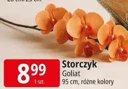 E.Leclerc Storczyk Goliat oferta