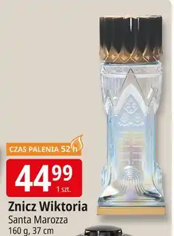 E.Leclerc Znicz wiktoria 52h 37 cm oferta