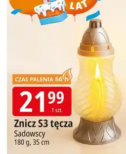 E.Leclerc Znicz s3 Sadowscy Since 1994 oferta
