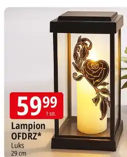 E.Leclerc Lampion ofdrz 29 cm Luks oferta